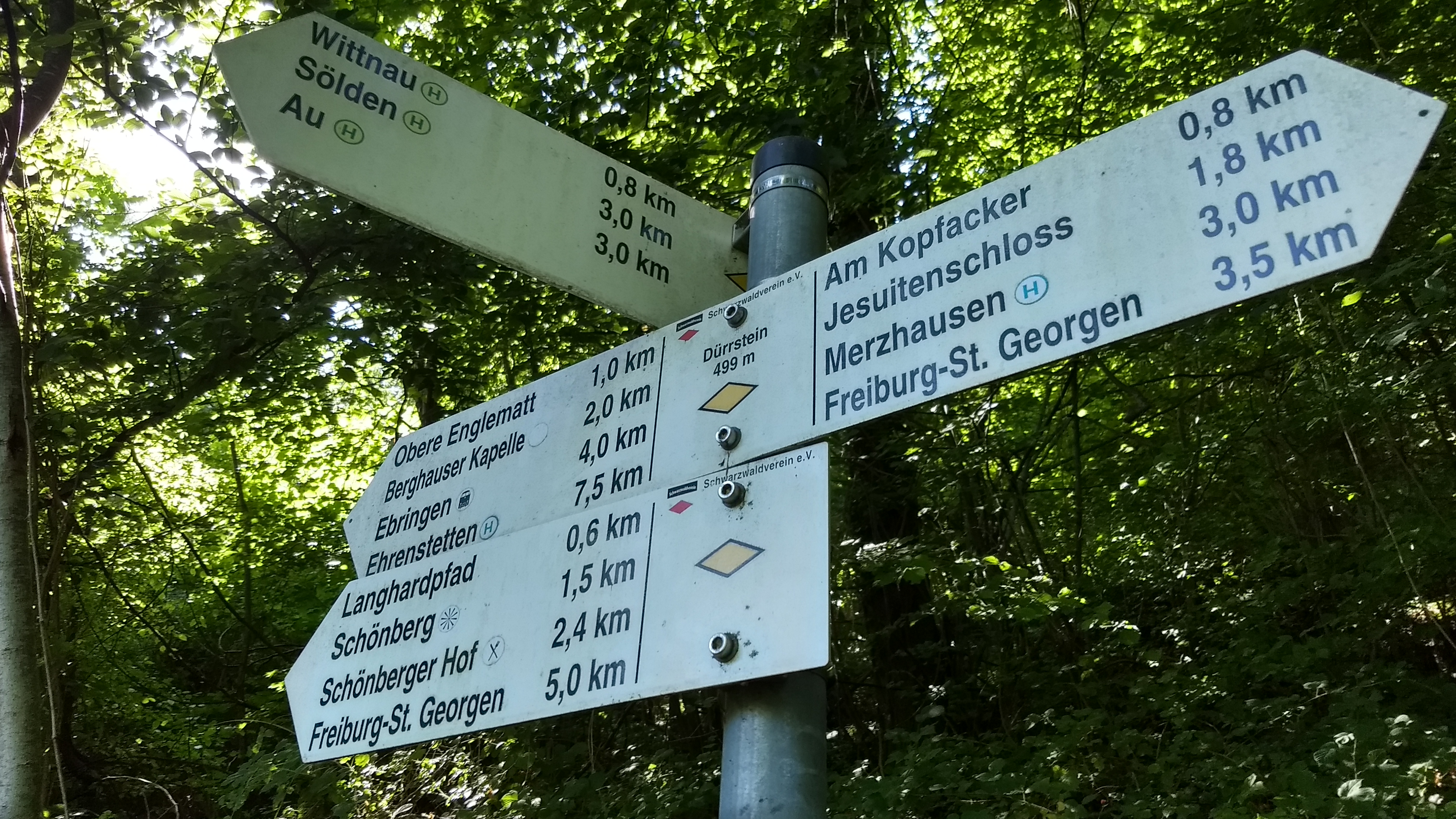 Signposts on the trail to Schönberg.